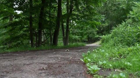 Kaschinski said the graffiti was all a rouse. It was all a part of a plan to get more people to participate in the city’s 7th annual scavenger hunt.