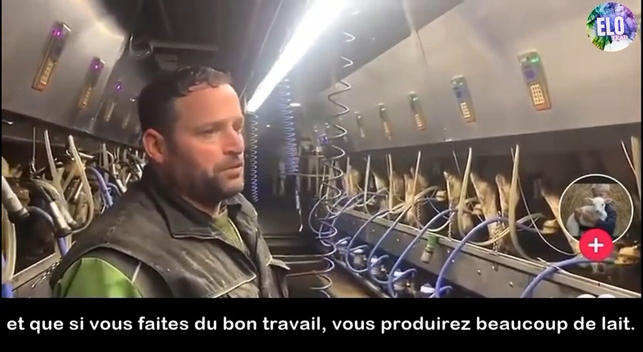 ⚫️ The War on Farmers❗️❗️ 👀 This Canadian dairy farmer has reached his quota.
