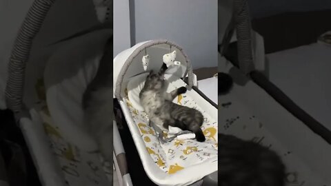 I'm the baby now