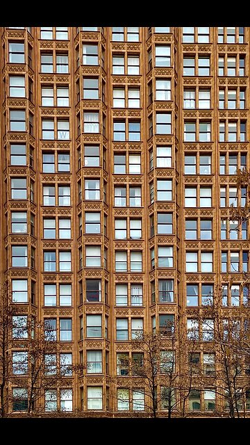 Video footage shows an illegal alien being arrested at Plymouth & Van Buren St. Chicago