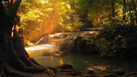 Beautiful Relaxing Music • Peaceful Piano Music & Guitar Music Sunny Mornings by Peder B @@ 78