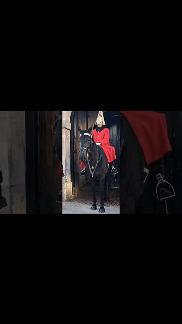 Horse bites mother holding baby there is a sign #horseguardsparade