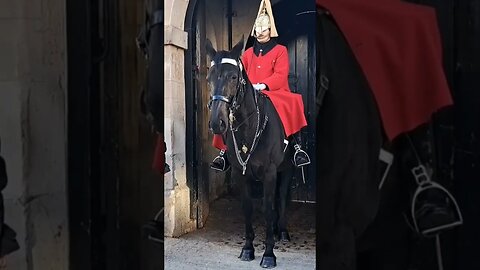 Horse bites mother holding baby there is a sign #horseguardsparade