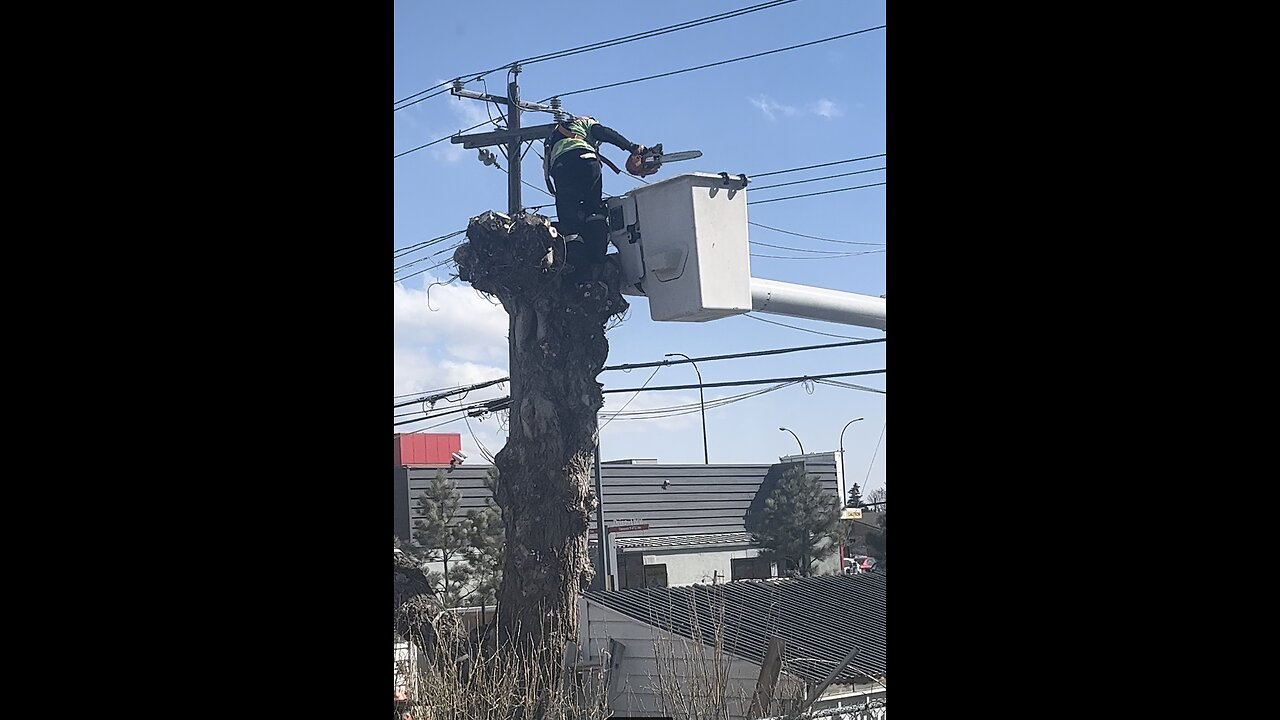 The Bucket Ride