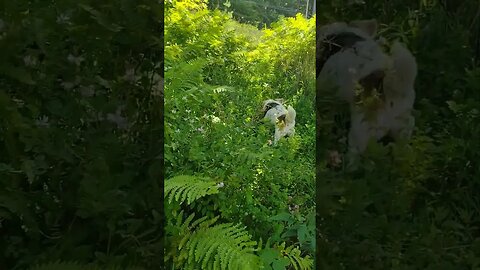 Trail Blazing... ❤️