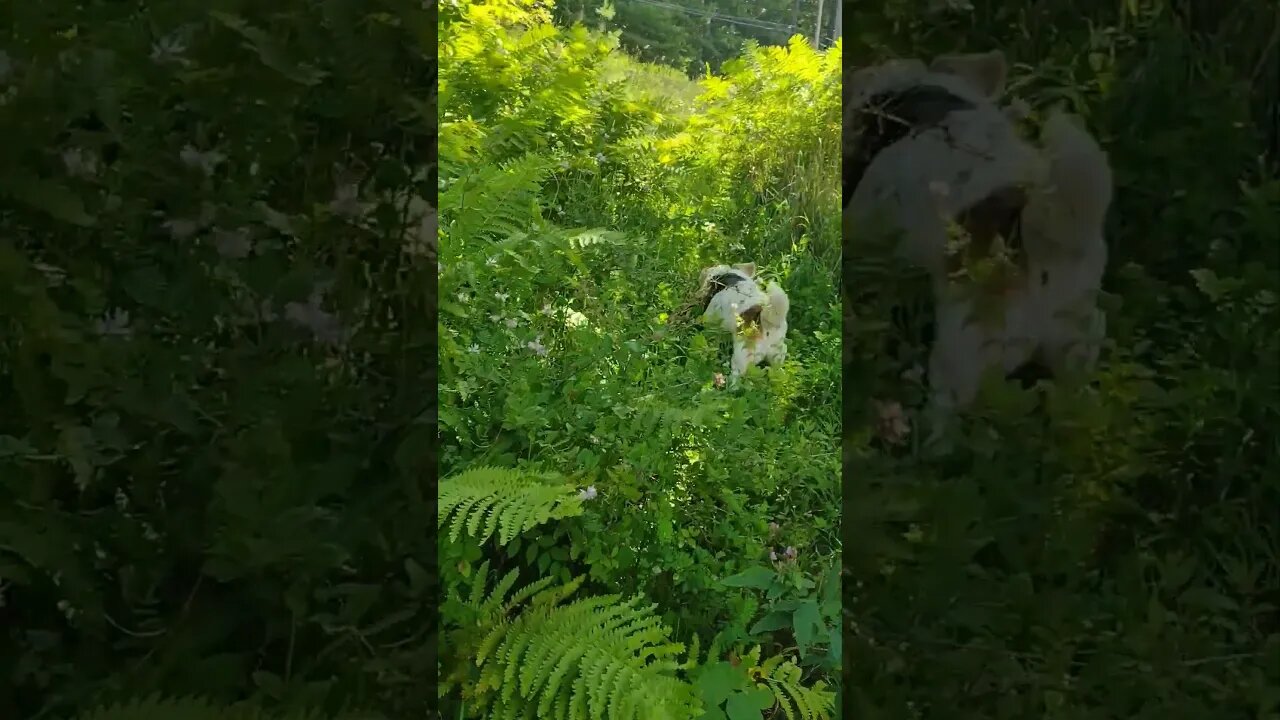 Trail Blazing... ❤️