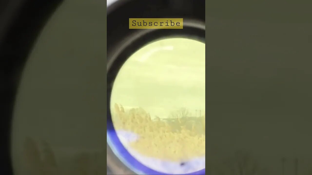 Ukrainian tank #shorts