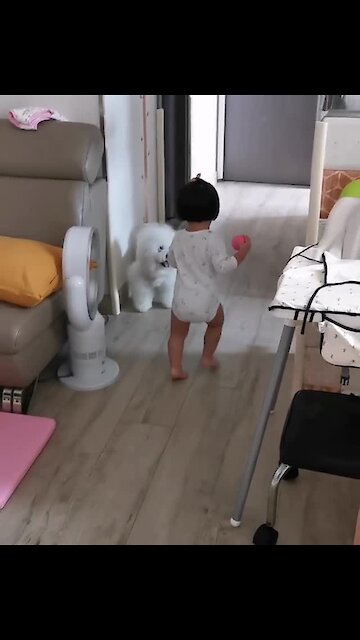 Toddler adorably plays fetch with her puppy