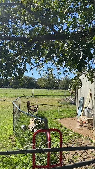 Referred rescue queen is here!