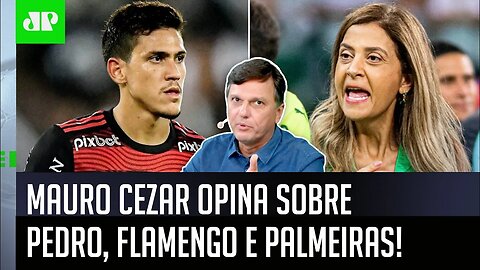 "Eu NÃO VOU FICAR SURPRESO se..." Mauro Cezar MANDA A REAL sobre Pedro, Flamengo e Palmeiras!