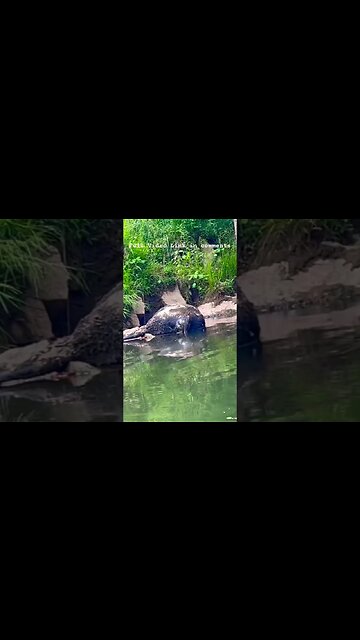 Pocket Survival - The Oh💩Kit l On3 Jason Salyer