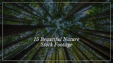 Beautiful Nature Stock Footage