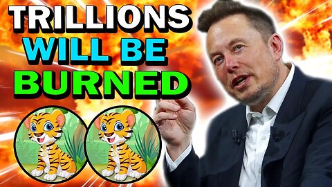 BNB TIGER HOLDERS!! THE BURNING MECHANISM WILL MAKE PRICE EXPLODE!!