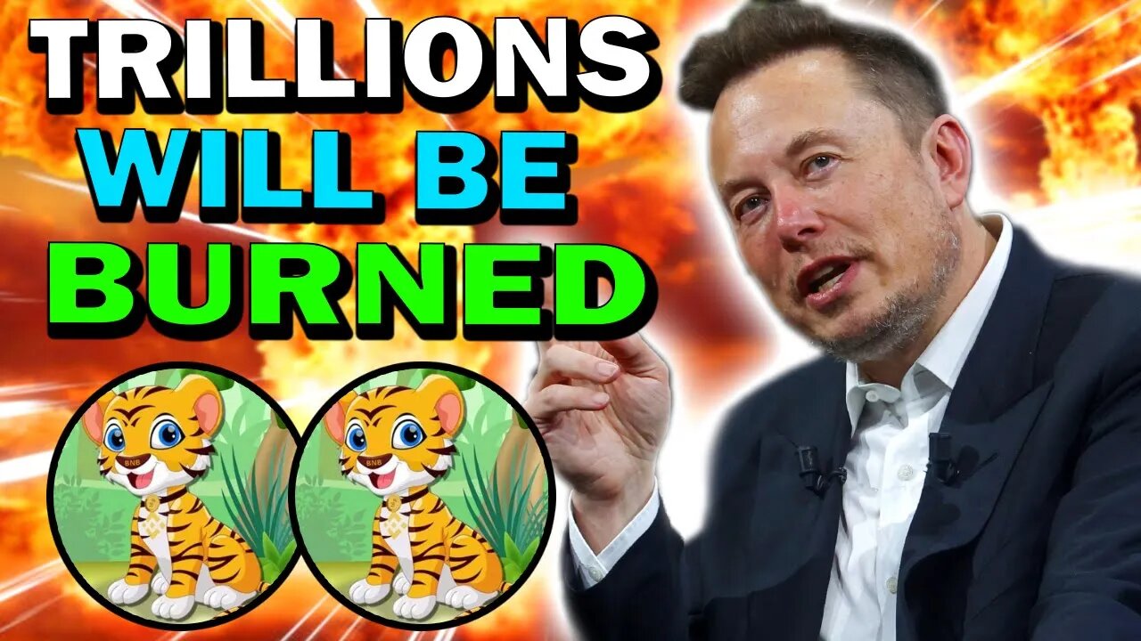 BNB TIGER HOLDERS!! THE BURNING MECHANISM WILL MAKE PRICE EXPLODE!!