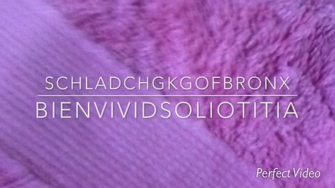Schladchgkgofbronx - Bienvividsoliotitia
