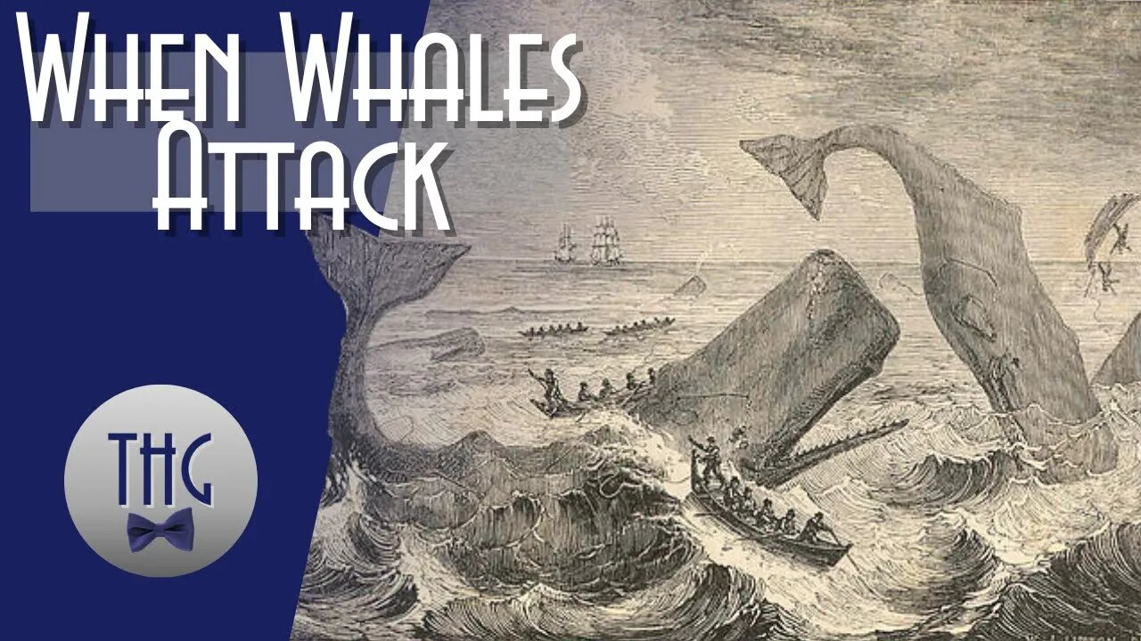 When Whales Attack