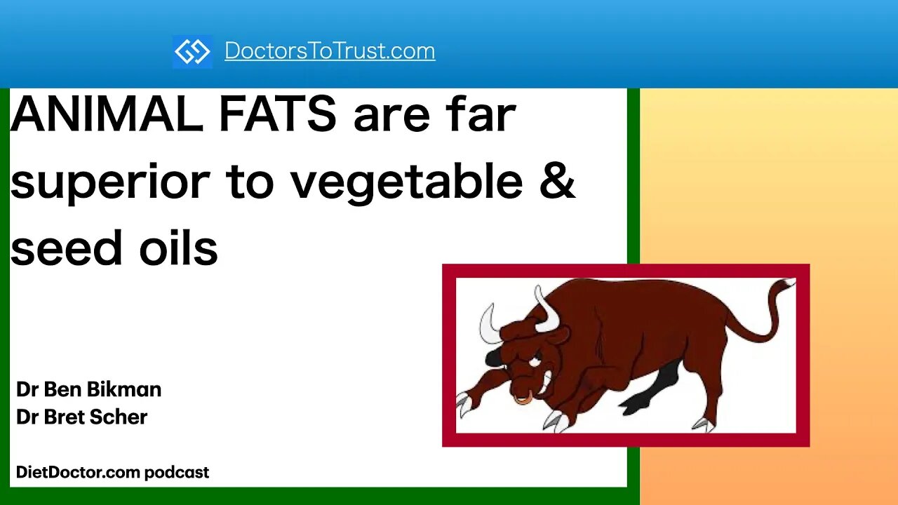 ANIMAL FATS: superior to vegetable & seed oils [republished edit with spelling error corrected]