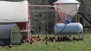 Trump Orders Expedited Help For Farmers Hurt By Coronavirus