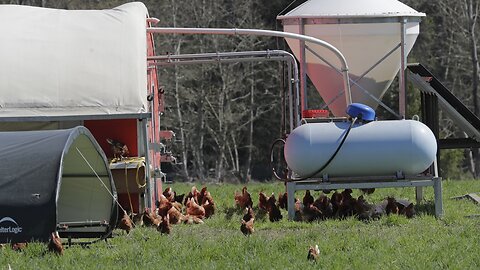 Trump Orders Expedited Help For Farmers Hurt By Coronavirus