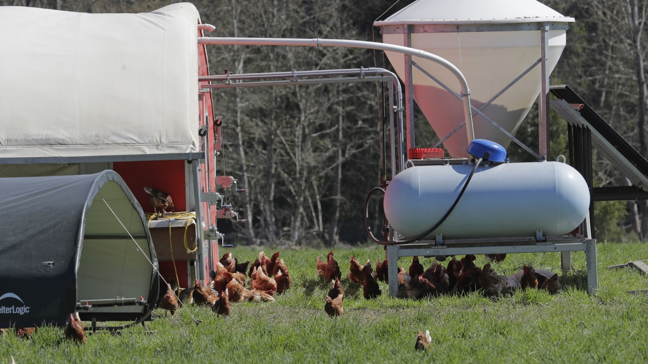 Trump Orders Expedited Help For Farmers Hurt By Coronavirus