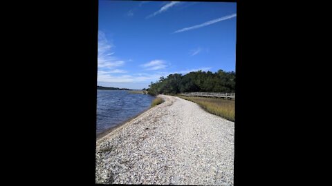 Southern Jeaux Carolina Beach Music