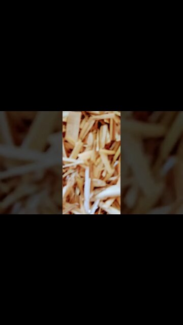 kisi aur 🗣️🗣️ #youtubeshorts #shorts #youtube #shortvideo #shortyoutube