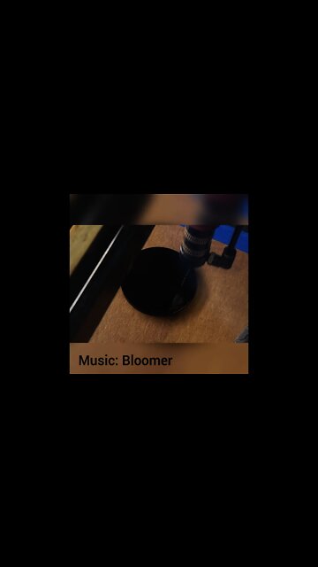 Engraving a Sirius Black Ornament