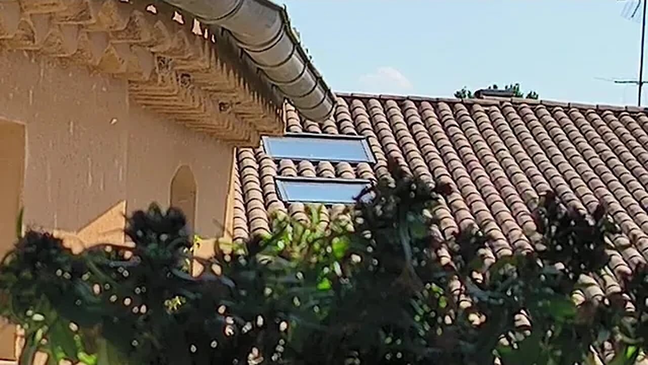 Pourquoi " Rambo " 🏃‍♂️ Chercherait à "Fuir" ❓