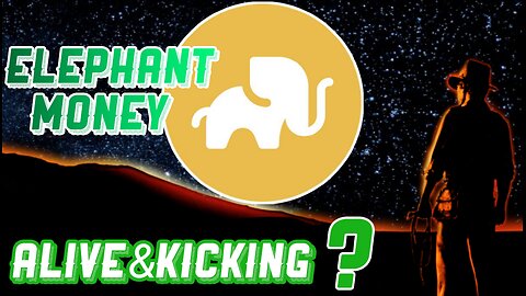 Elephant money 💵 should you go in?