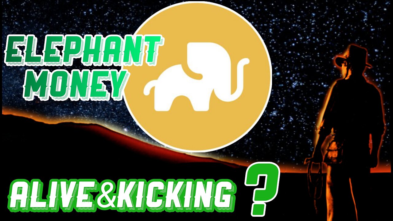 Elephant money 💵 should you go in?