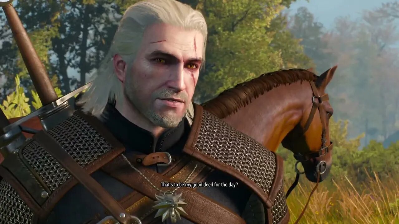 THE WITCHER 3 WILD HUNT PART 8