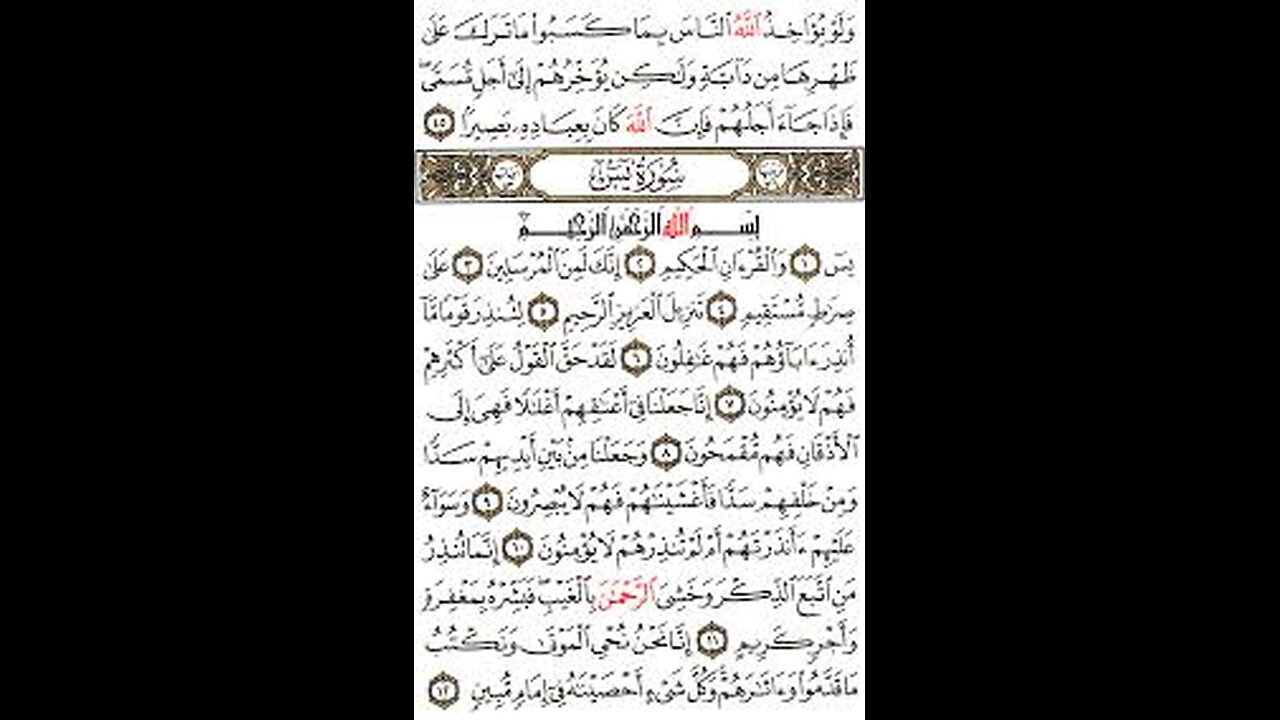 Beautiful Qur'an recitation (suratul yasin) #quran