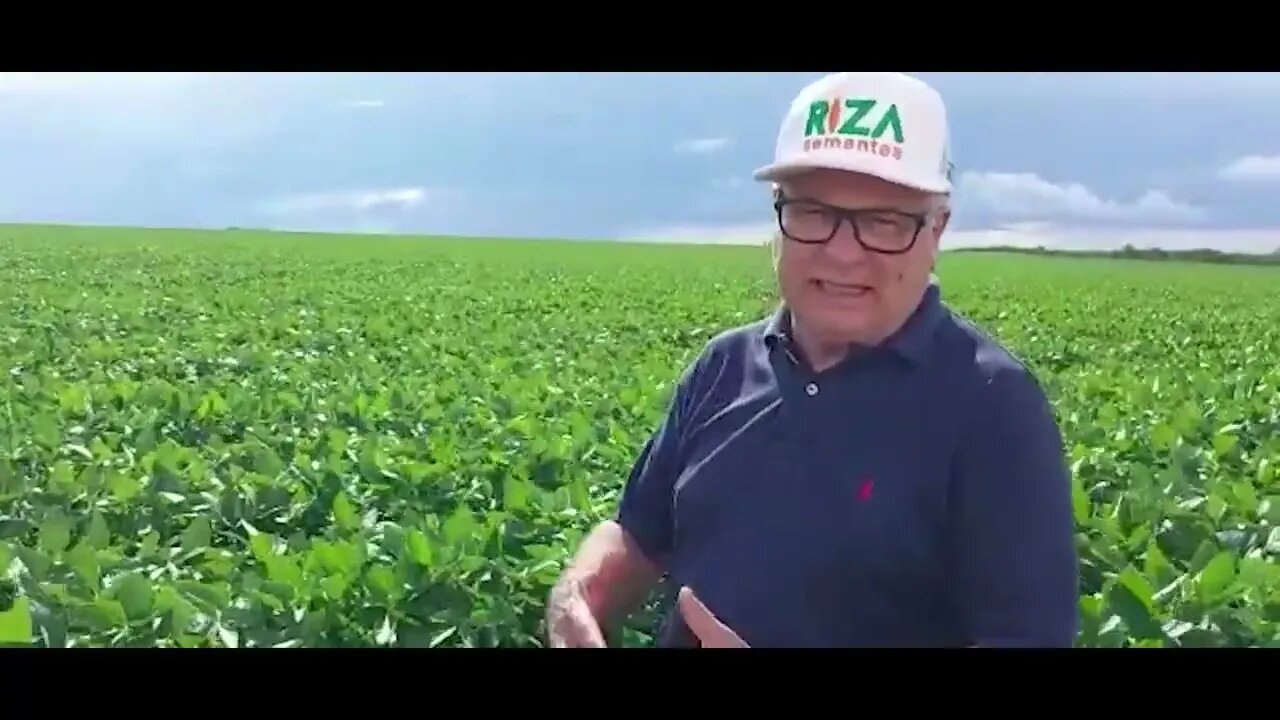 Soja com bom desenvolvimento é mostrada por João Batista Olivi