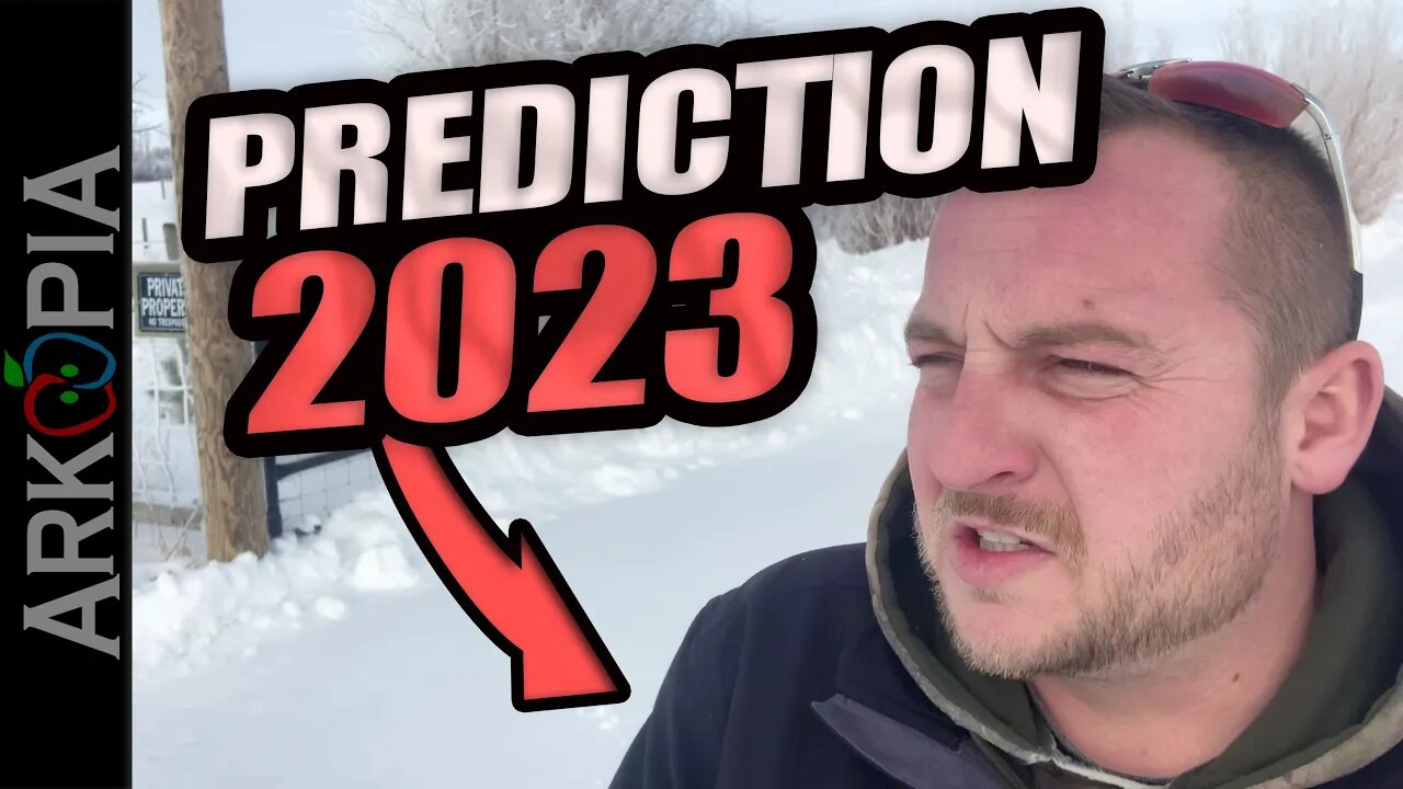 2023 Predictions - The economy, real estate, BRICS, gold, silver, CBDCs, inflation, bubbles, & more!