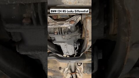 BMW E34 M5 Leaky Differential #bmw #bmwe34 #bmwm5 #diy #cars #restoration #automotive #mechanic