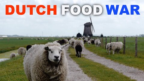 DUTCH FOOD WAR