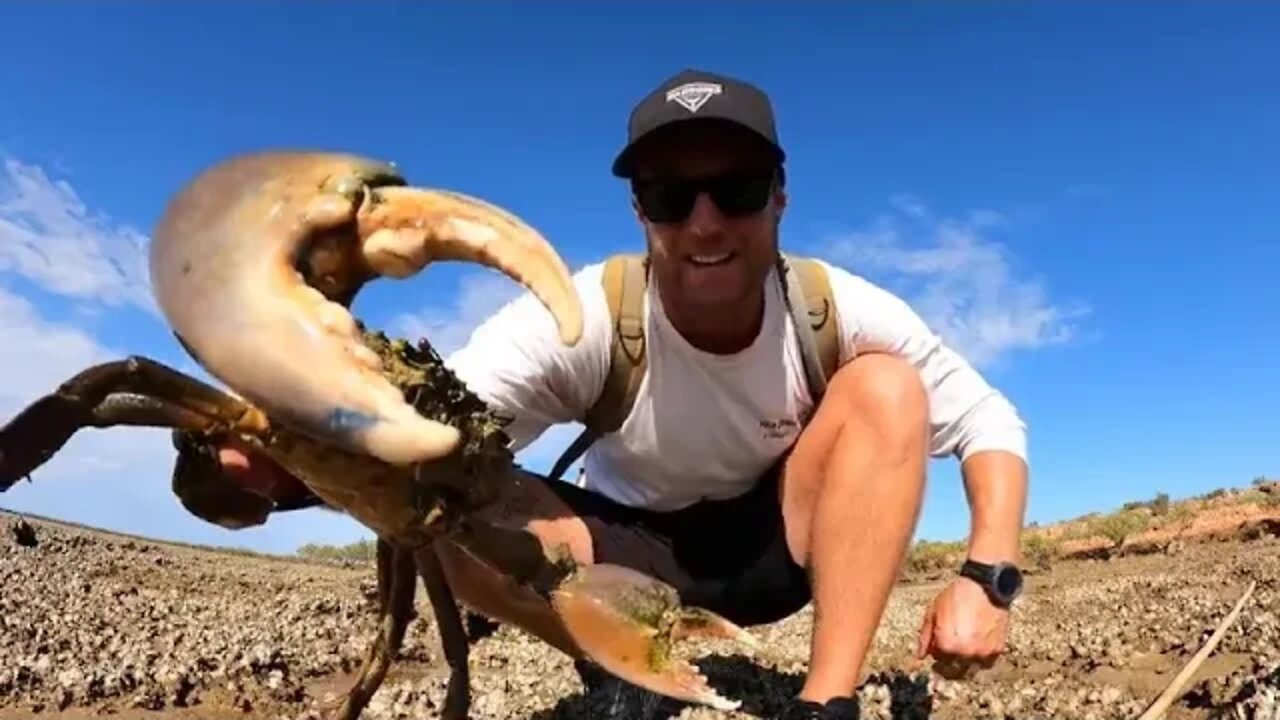 2 ===== GIANT CRAB Catch and Cook BOW n ARROW vs FISH