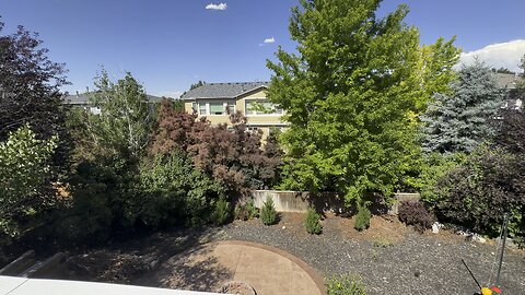 Beautiful Sunny Day in the backyard