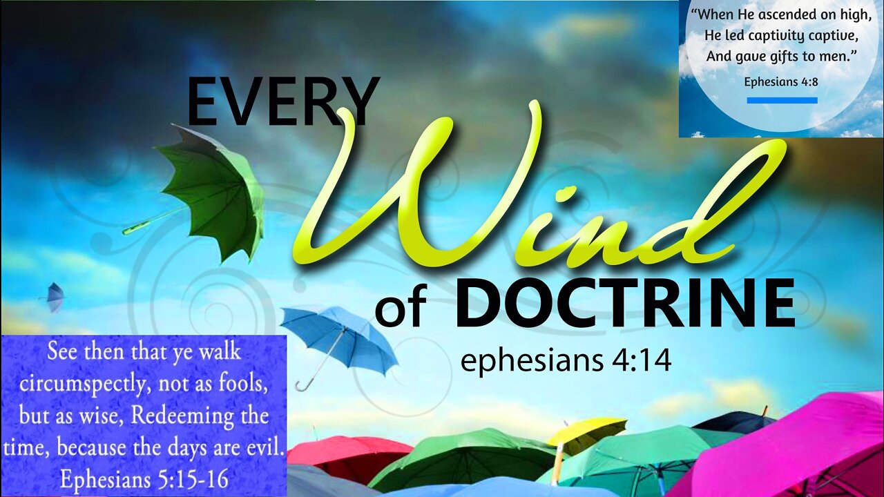 WALK CIRCUMSPECTLY B-299