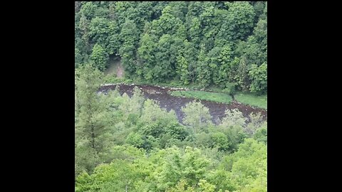 Grand Canyon of Pennsylvania #beauty