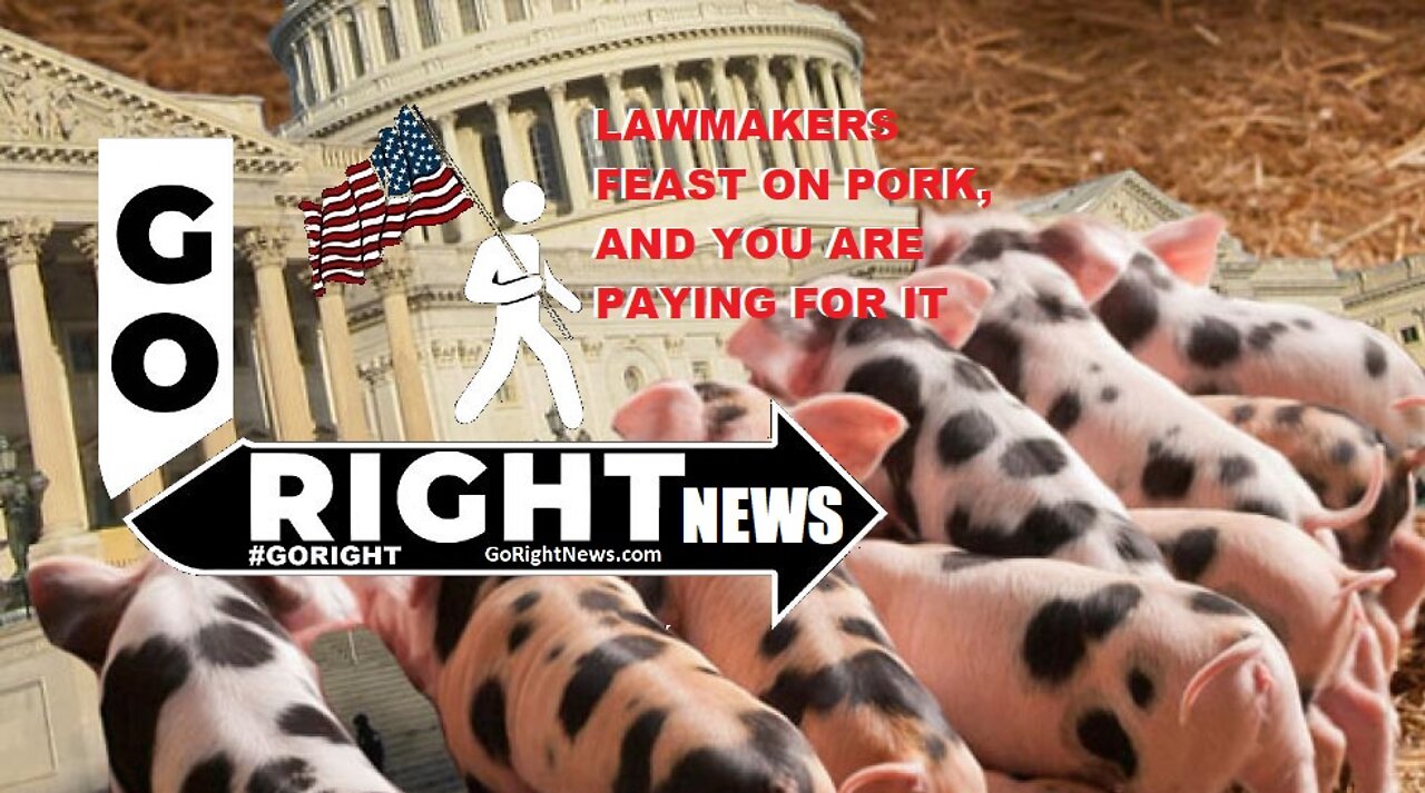 LAWMAKERS FEAST ON PORK, AND YOU'RE PAYING FOR IT