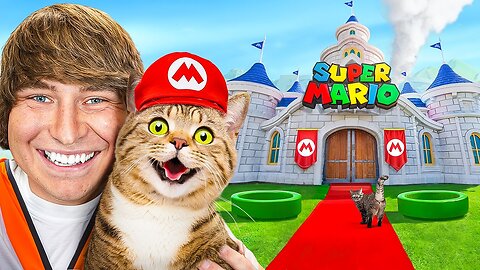 I Built A $25,000 Super Mario Castle For My Cat!