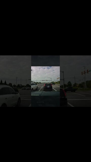 Guess yield signs are optional nowadays