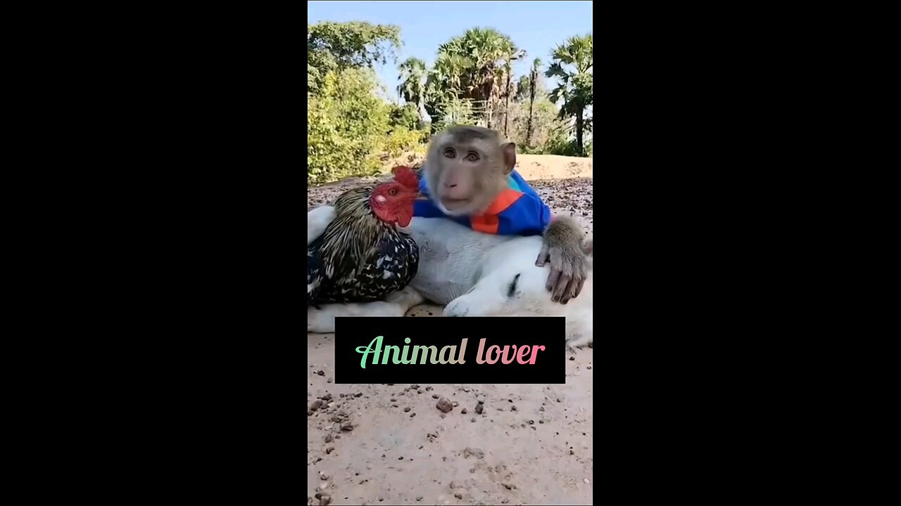 animals lovers