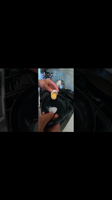 Preparing Turtle Eggs 🐢🥚