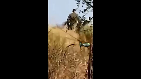 Russian POWs allegedly forced to walk through minefield then shot in back