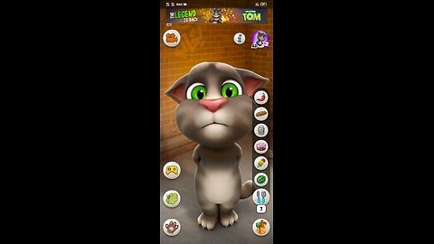 Talking Tom game