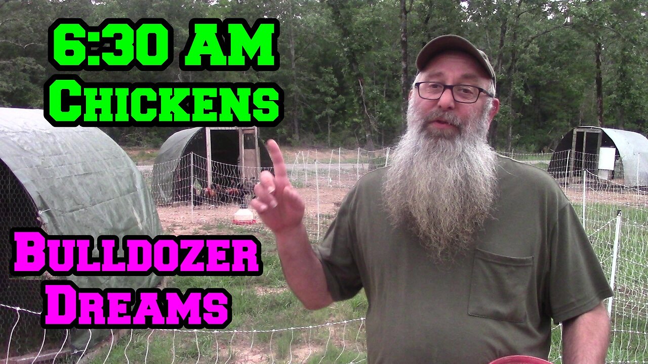 6:30 AM Chickens | Bulldozer Dreams | Video Skills, Arkansas homestead chicken breeding community