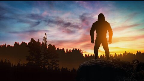 SASQUATCH AKA YETI INFO IN DESCRIPTION (2): KERRY CASSIDY PROJECT CAMELOT INTERVIEWED SOLOMON BERG