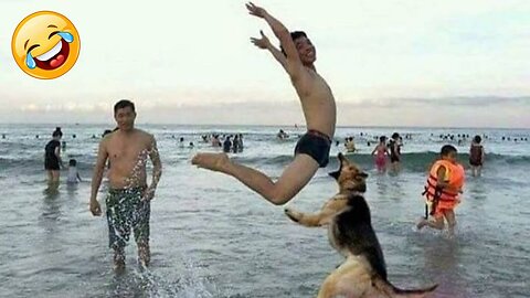 New Funny Animals 2023 🤣 Funniest Cats and Dogs Videos 😸🐶 Part 9